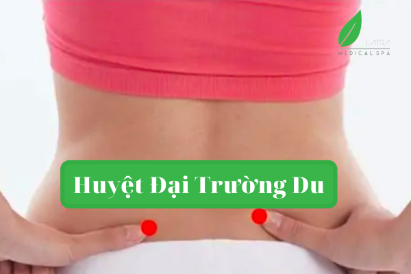 Hình ảnh huyệt đại trường du