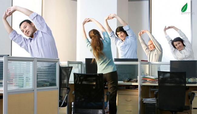 Để giảm đau lưng và duy trì sức khỏe tốt, người làm việc văn phòng có thể thực hiện một số bài tập