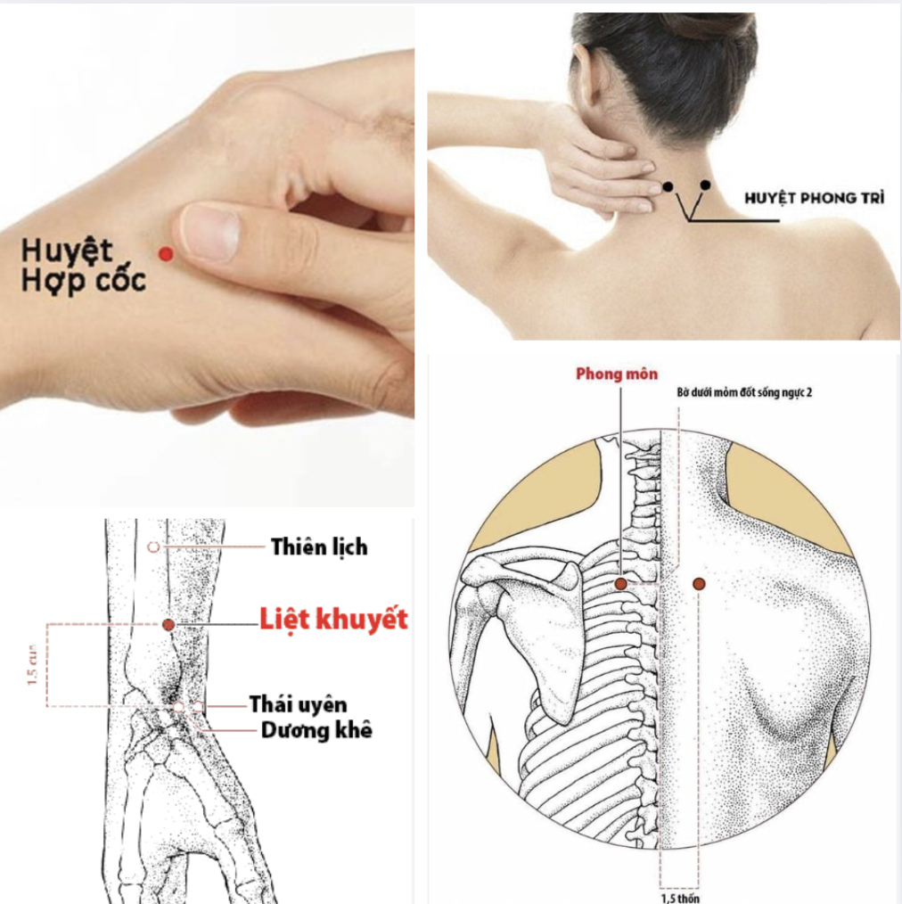 Các huyệt đạo chính được tác động trong liệu trình